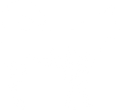 Floral Siberian Husky Shirt,Animal Lover Shirt,Wolf Shirt,Gift For Dog Lovers,Nature Camping Shirt,Dog Mom Dad Shirt,Animal Pet T-Shirt