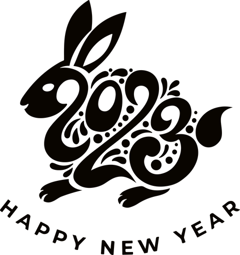 Chinese New Year 2023 TShirt, Lunar New Year Party, Happy New Year Shirt, Year of the Rabbit 2023 Sweatshirt, Chinese Rabbit Graphic Tees