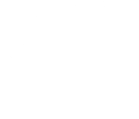 Grandpa Shirt, Granddaughters Best Friend, Grandsons Best Partner In Crime, Grandpa TShirt, Gift For Grandad, Grandfather Shirts
