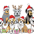Christmas Dog Family Tshirts, Happy Woofmas Nice Shirts, Dog Lover Gift Tshirts, Dog Mom Gifts Christmas Tshirt,Gift Dog Lover Holiday Shirt