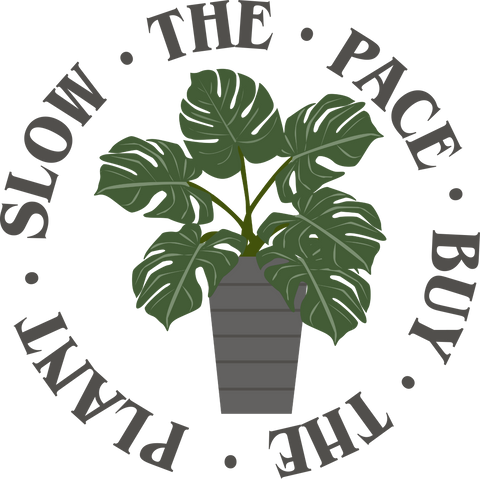 Plant Lover Funny Saying Shirt, Gardening Shirt, Plant Mom Shirts, Botanical Tshirt, Gift For Gardener, Nature Lover Shirt, Plant Lady Tee