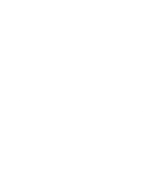 Aesthetic Doctor TShirt, Stethoscope Graphic Tees, Future Nurse Gifts, Nurse Assistant T Shirts, Nursing School Clothing, Shirts for Women