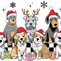 Christmas Dog Family Tshirts, Happy Woofmas Nice Shirts, Dog Lover Gift Tshirts, Dog Mom Gifts Christmas Tshirt,Gift Dog Lover Holiday Shirt