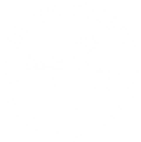 St Patricks Day Shirts, Shamrock T-Shirts, Lucky Shirts, Gifts for Irish, Saint Patricks Day Shirts, Gifts for Friends, Irish T-Shirts