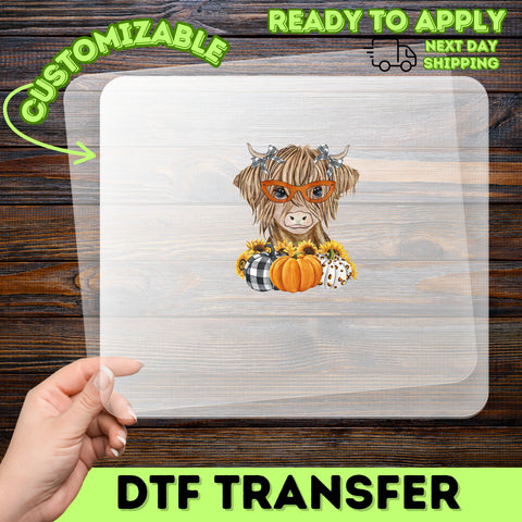 Quirky Highland Cow with Glasses Fall DTF Transfer | Cute Farmhouse Pumpkin Sunflower Iron-On for Family Sweatshirts