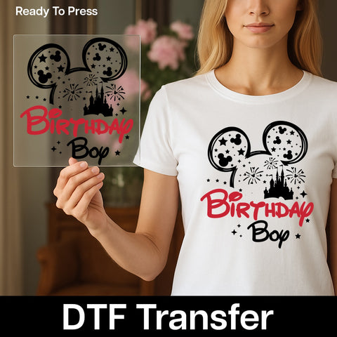 Funny Birthday Party Shirt Celebration Humor DTF Transfer Iron-On Ready To Press Group Matching Outfit