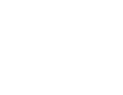 Mothers Day Gift, Mom Shirt, Mama Crewneck Sweatshirt, Cute Mom T-Shirt, Gifts for Mom, Mother Outfit, New Mom Gifts, Grandma Shirt, Cat Mom