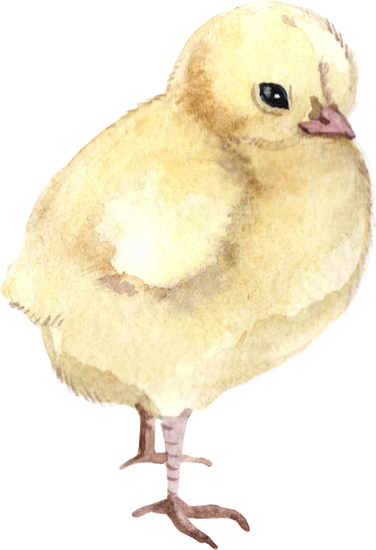 Chick Baby Onesie®, Chick Baby Bodysuit, Chick Farm Onesies®, Farm Life Onesies®, Farmer Onesies®, Country Onesies®, Farm Baby Onesies®