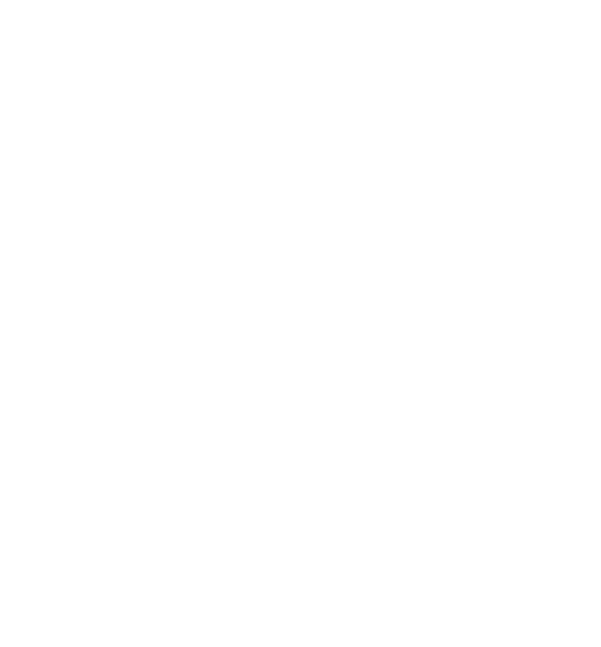 Respiratory Therapist Shirt, Lung Shirt, Respiratory Therapy Shirts, Respiratory Nurse, Respiratory Therapist Gifts, Lung Therapist Shirt