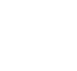 Funny Saying Shirt, Humorous T Shirt, Funny Shirt, Shirt With Saying, For The Last Minute, Funny Women Shirt, Sassy Girl Shirt