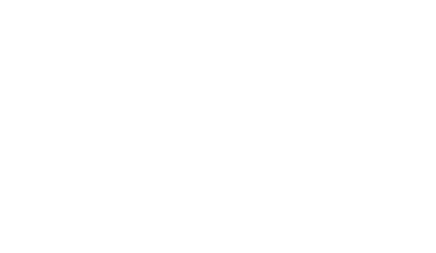 Girlfriend Fiance Shirt, Boyfriend Shirt, Matching Shirt, Not Girlfriend Shirt, Engagement Shirt, Engagement Announcement Shirt, Engaged Tee