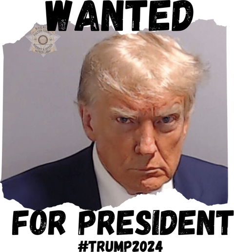 Trump 2024 TShirt, Trump Mugshot Shirt, Republican T Shirt, Election T-Shirt, Womens Vneck Shirts, Political Graphic Tees, Patriotic Clothes