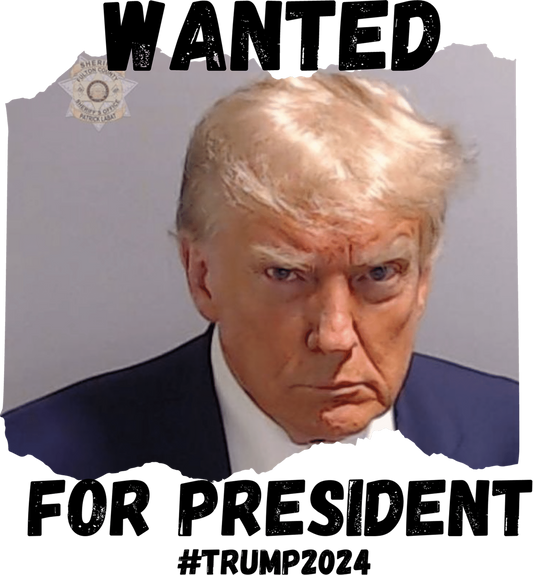 Trump 2024 TShirt, Trump Mugshot Shirt, Republican T Shirt, Election T-Shirt, Womens Vneck Shirts, Political Graphic Tees, Patriotic Clothes