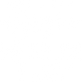 Gigi Shirt, Grandma Shirts, Funny Gigi T-Shirt, No Gigi Like the I Got Tee, Grandma Gift, Gift For Grandmother, Grandma Birthday Shirt