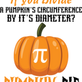 Pumpkin Pie Shirt, Math Teacher Shirt, Pi Shirt, Math Teacher Halloween Tee, Fall Pumpkin Shirt, Pumpkin Season Shirt, Thanksgiving Shirt	