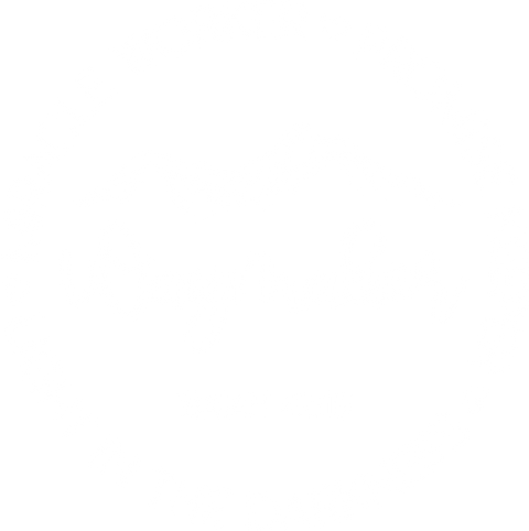 Bible Verse T-Shirt, Christian Shirts, Jesus Shirt, Christian Gifts, Religious Shirt, Faith Shirt, Worship Shirt, Christian Clothing