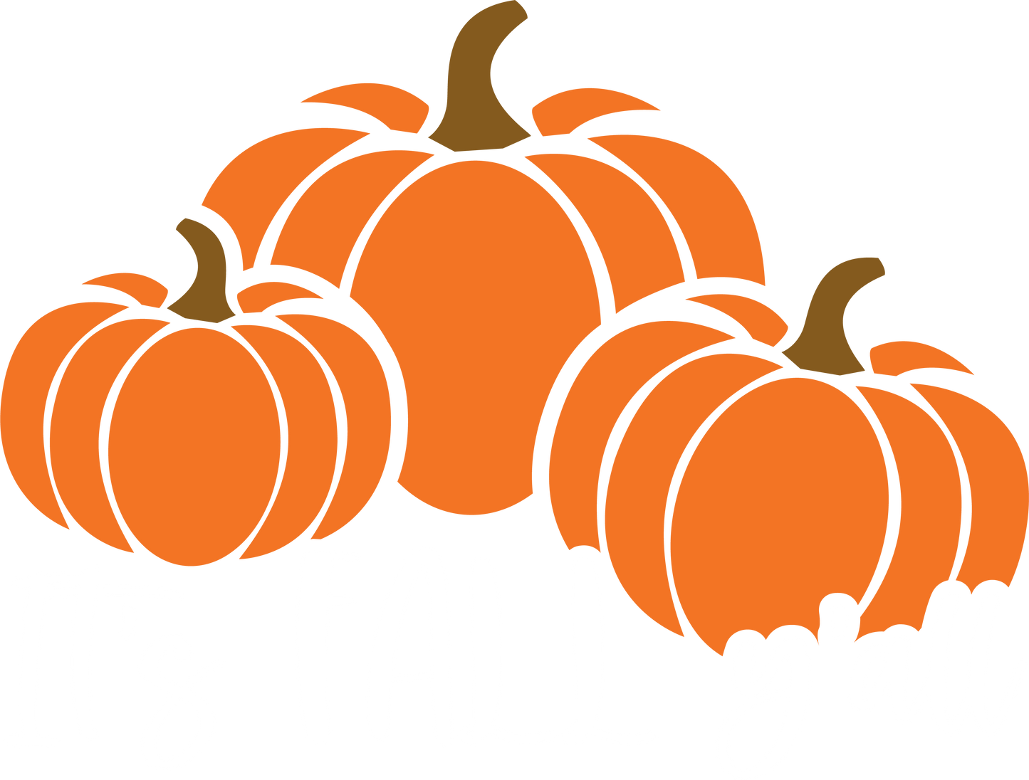 Pumpkin Graphic Tees, Fall Crewneck Sweatshirt, Gift for Her, Its Fall Yall, Thanksgiving Vneck T-Shirt, Womens Clothing, Cute Autumn Shirt	