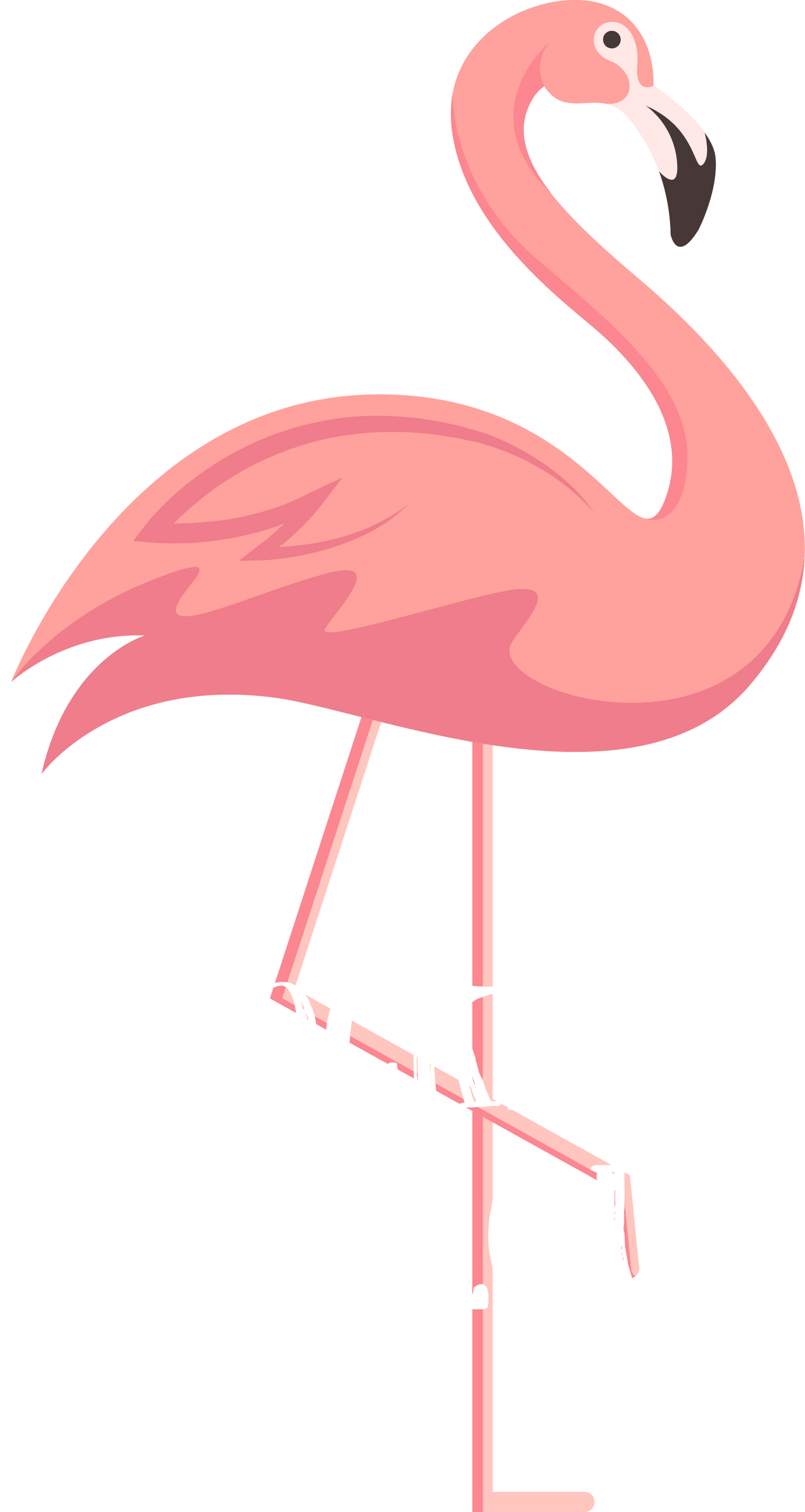 Flocking Fabulous Shirt,60 Years Old T-Shirt,Pink Flamingo T Shirt,60th Birtday Shirt,Flamingo Gift,Flocking Flamingo Shirt,Flamingo Lover