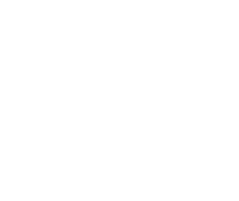 Wild Flower Heart Shirt, Floral Heart T-Shirt, Valentines Day Wildflower Tee, Nature Lover Shirt, Flower Lover Gift, Valentines Day Shirt
