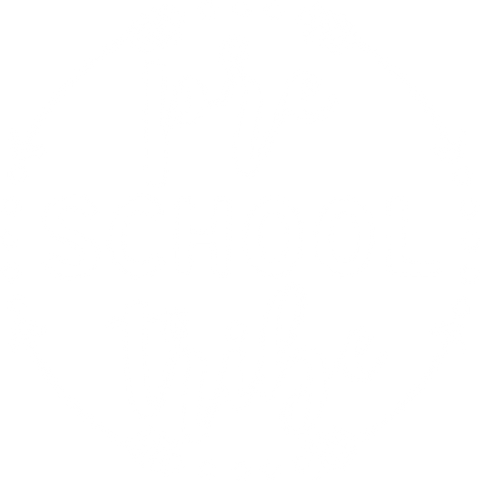 Elementary School Shirts, Preschool Kids Tshirt, Back to School Outfit, 1st Day of School Youth T-Shirt, Cute Pre-K Toddler Clothing