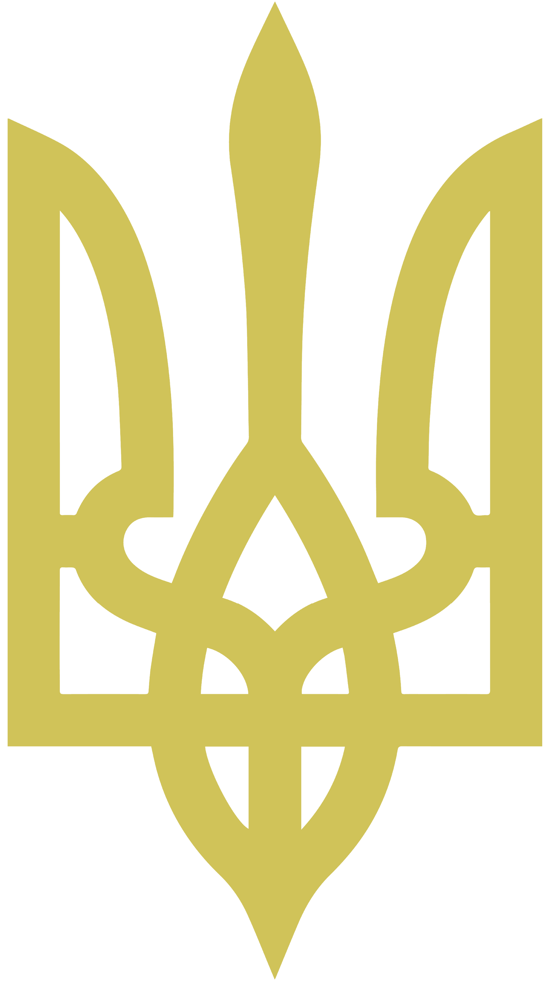 Ukraine Coat Of Arms, Ukraine Military Shirt, Ukraine Trident Shirt, Ukrainian Patriotic Shirt, Ukraine Heritage Tshirt, Zelensky Shirt