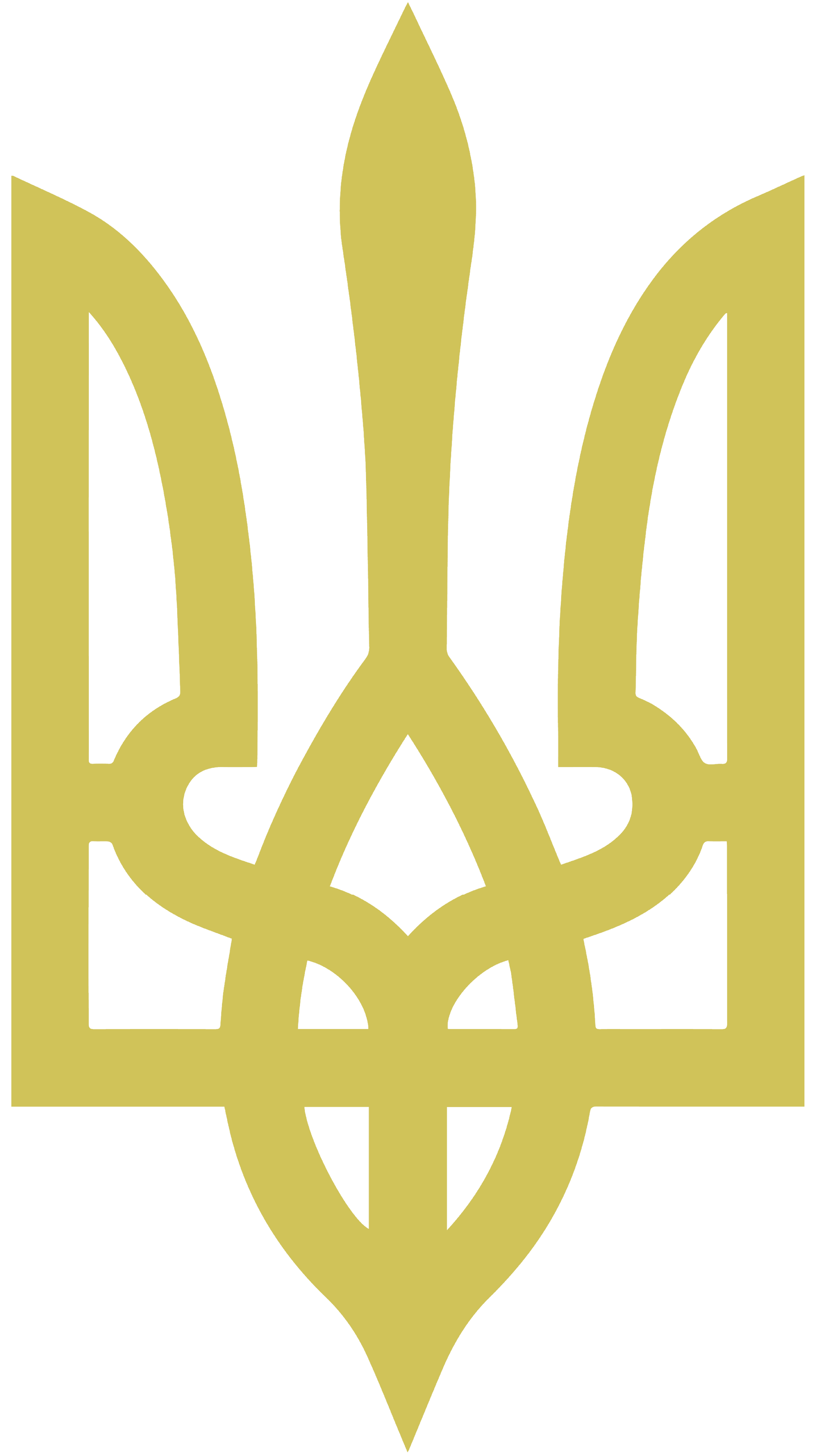 Ukraine Coat Of Arms, Ukraine Military Shirt, Ukraine Trident Shirt, Ukrainian Patriotic Shirt, Ukraine Heritage Tshirt, Zelensky Shirt