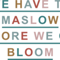 Psycohologist Maslow Before Bloom Shirt, Sped Teacher Shirt, Behavior Analyst Tee, Sped Tshirt, Bloom Shirt,Behavior Specialist Maslow Shirt