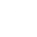 Kidney Disease Shirt, Kidney Awareness Shirt, Kidney Support Tee, Kidney Survivor Shirt, Kidney Matching Shirt, Kidney Diseases Mom Dad