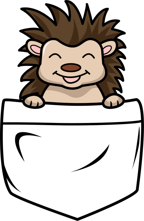 Pocket Hedgehog Shirt, Hedgehog Gifts, Hedgehog Shirt, Gifts for Kids, Hedgehog Toddler, Hedgehog Lover Shirt, Hedgehog Gift, Cute Shirt