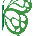 Celiac Disease Butterfly Shirt, Celiac Butterfly Support Shirt, Autoimmune Disease Awareness T-Shirt, Celiac Awareness Month Shirts