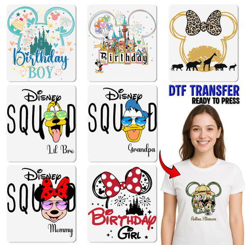 Funny Birthday Party Shirt Celebration Humor DTF Transfer Iron-On Ready To Press Group Matching Outfit