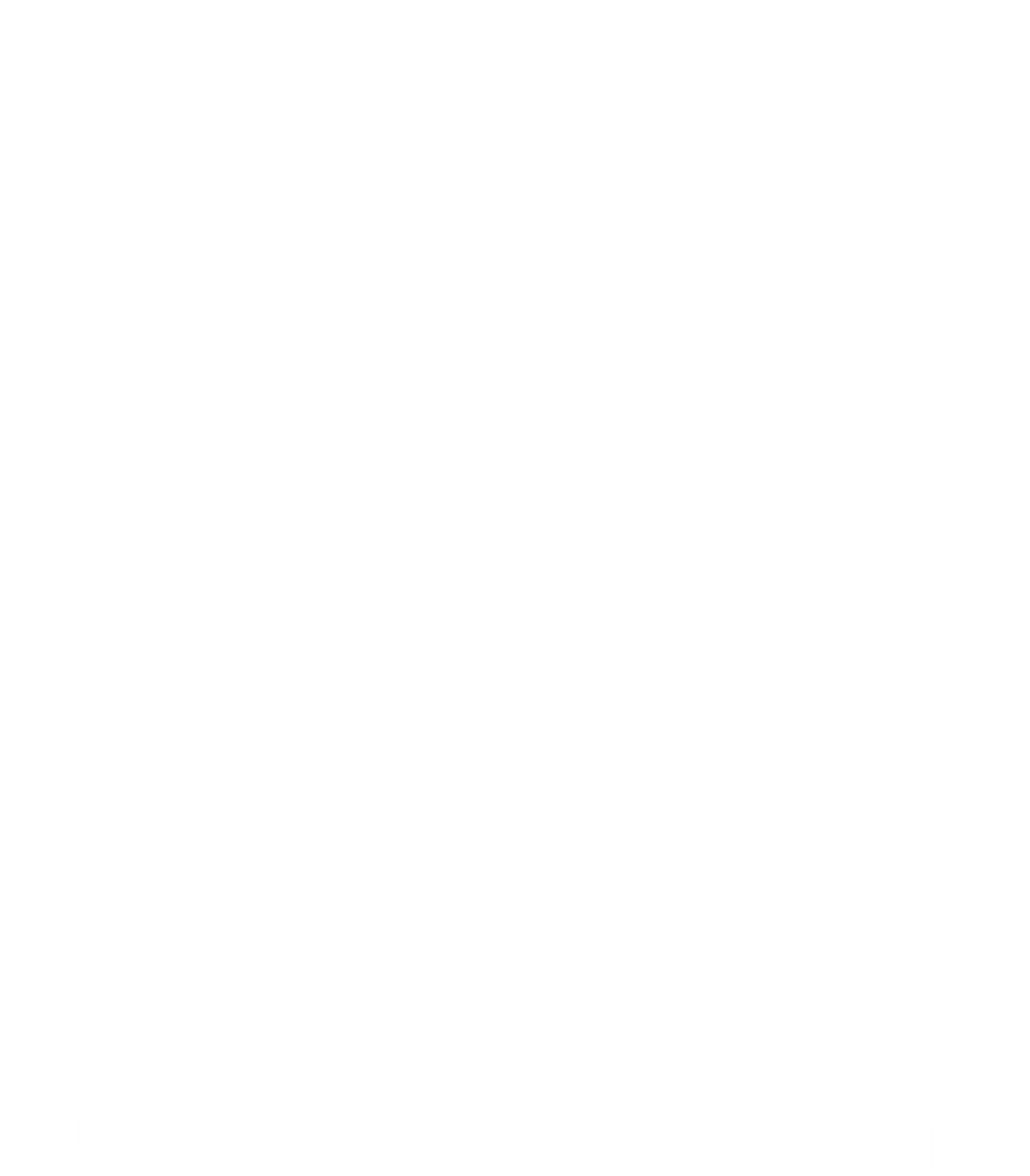 Funny Saying Shirt, Sarcastic T-Shirt, Adult Humor T Shirt, Shits And Giggles Shirt, Sassy Quote Shirt, Gift For Him, Women Graphic Tees