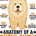 Cute Chow Chow Dog Tshirt, Chow Chow Shirt, Chow Chow Dog Lover Tshirt, Chow Chow Owner Gift Idea, Dog Lover Shirt, Pet Lover Chow Chow Tee