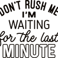 Funny Saying Shirt, Humorous T Shirt, Funny Shirt, Shirt With Saying, For The Last Minute, Funny Women Shirt, Sassy Girl Shirt