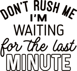 Funny Saying Shirt, Humorous T Shirt, Funny Shirt, Shirt With Saying, For The Last Minute, Funny Women Shirt, Sassy Girl Shirt