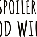 Funny Christian Shirt, Religious TShirt, Spoiler God Wins Shirt, Faith Shirt, Grace T Shirt, Church Shirt, Funny God Shirt, Christian TShirt