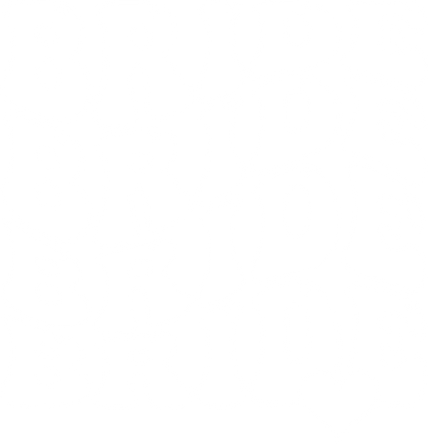 Bride Shirt, Engagement Gift, Future Mrs T-Shirts, Fiancee Shirt, Bridal Party Gifts, Bachelorette Tees, Gift for Her, Bride to Be Gift