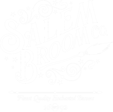 Salem Broom Co. T-Shirt, Funny Halloween Shirt, Witch Lover Shirt, Halloween Gift Shirt, Salem Witch Shirt, Hocus Pocus Shirt, Salem Shirt