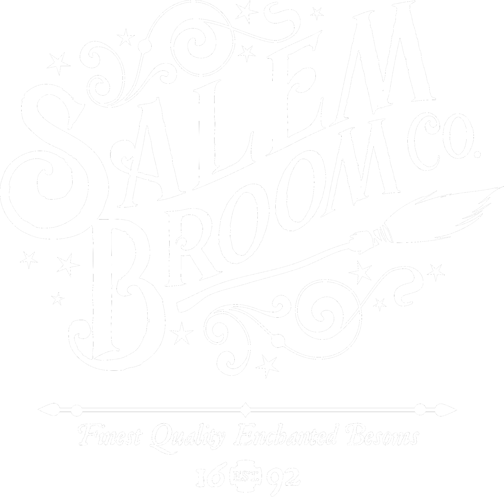 Salem Broom Co. T-Shirt, Funny Halloween Shirt, Witch Lover Shirt, Halloween Gift Shirt, Salem Witch Shirt, Hocus Pocus Shirt, Salem Shirt